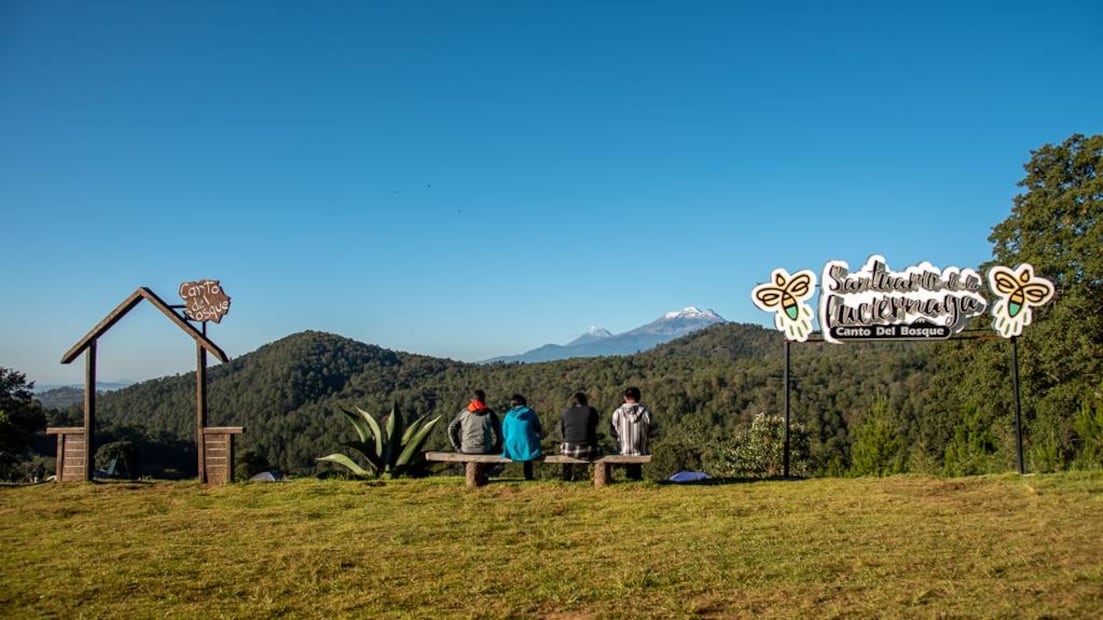 Foto: Canto del Bosque